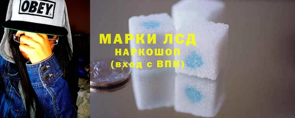 молекула духа Осташков