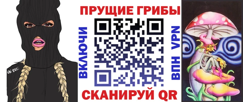 МЕГА ССЫЛКА Алатырь Псилоцибиновые грибы мицелий